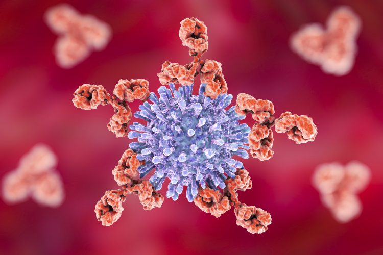 Method to coax immune system into selecting HIV antibodies developed HIV-antibodies-feature-pic-750x500