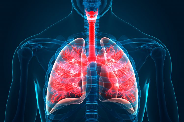 Lung epithelium model being tested as a platform for COVID-19 research