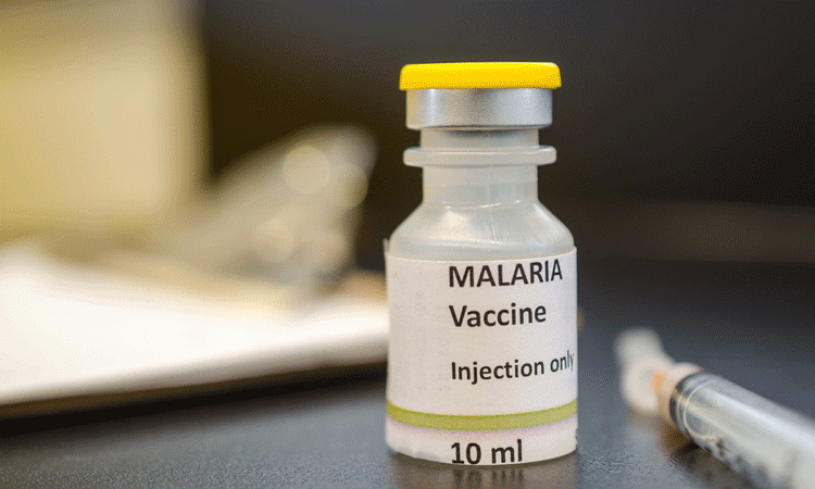 new-malaria-vaccine-targets-crucial-protein-in-parasites-life-cycle