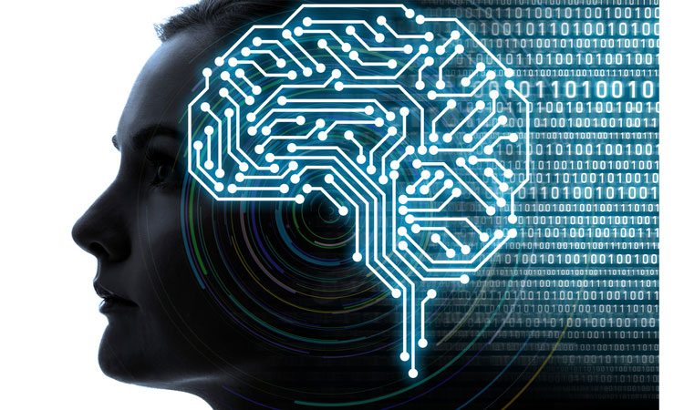 Mechanism links change to memory reconsolidation