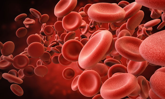 plasticell-to-produce-red-blood-cell-substitute-from-pluripotent-stem-cells