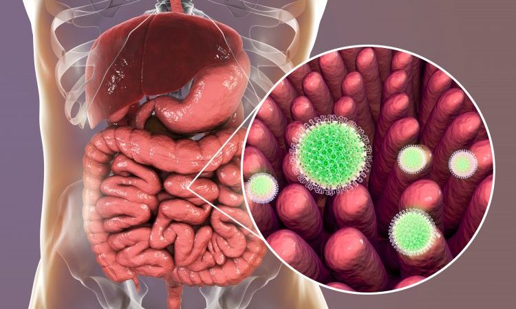 bacterial-strain-identified-that-determines-fate-for-rotavirus-sufferers