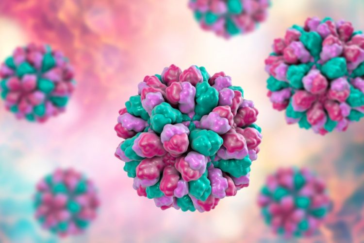 Scientists reveal structure of norovirus using cryoEM