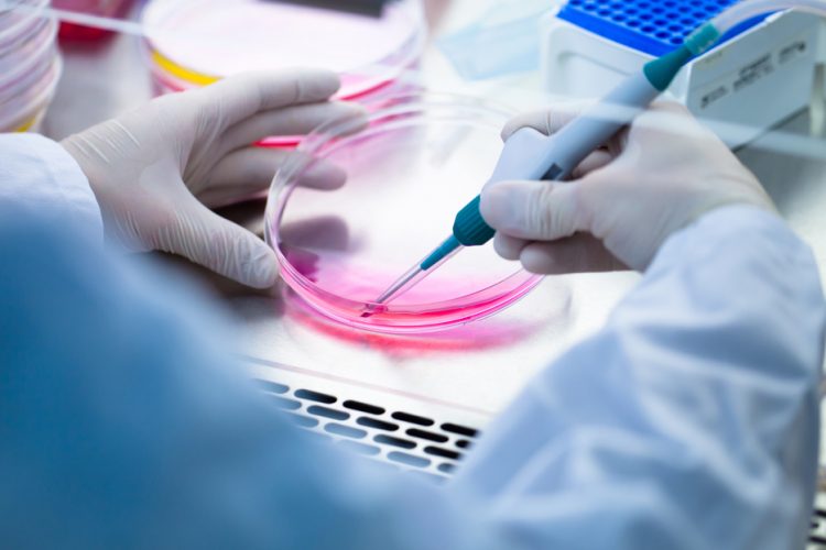 Cell culture system could offer cancer breakthrough