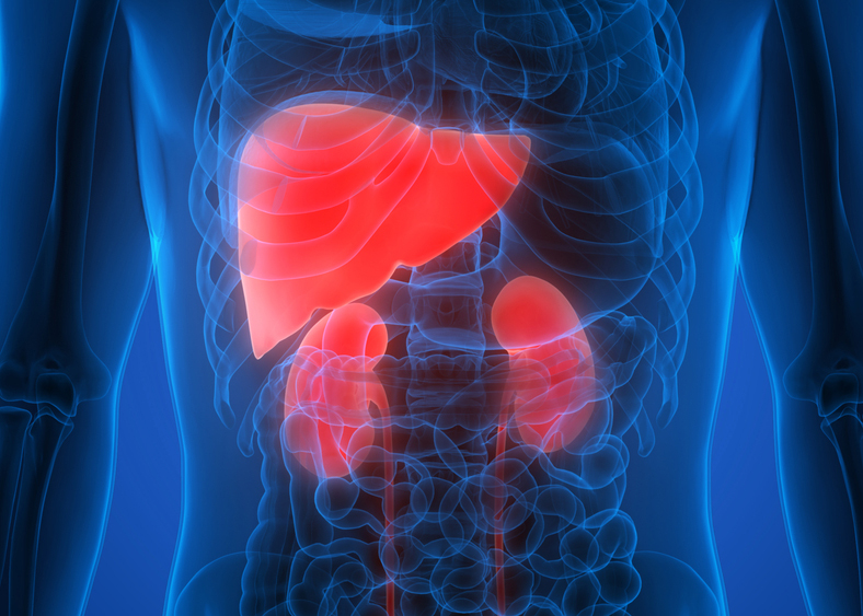 new-drug-targets-for-a-rare-kidney-and-liver-disease