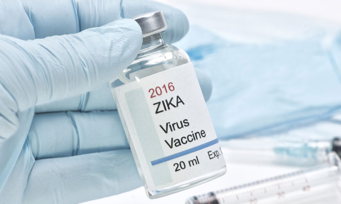 BMBF funds Zika vaccine research group at LMU